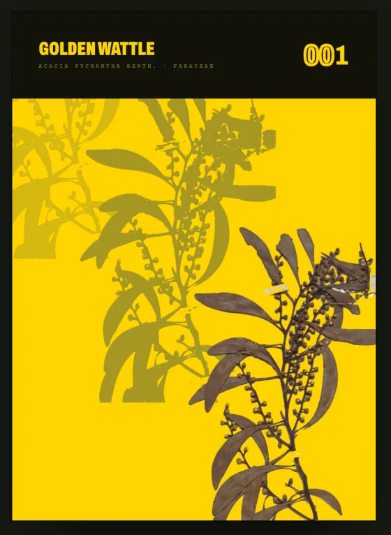 The dex card: the pressed specimen printed three times down a signal-yellow ground