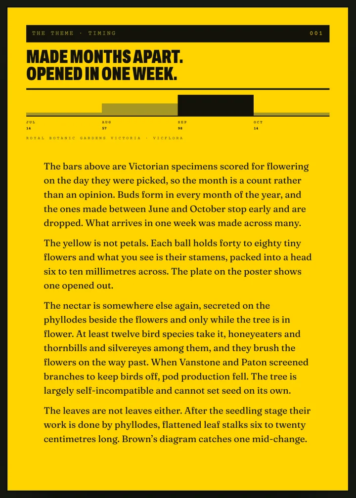 The letter: four columns of type about the wattle, headed Made months apart, opened in one week