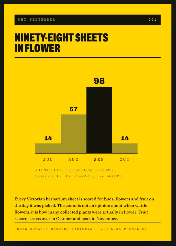 The month card: a bar chart headed Ninety-eight sheets in flower