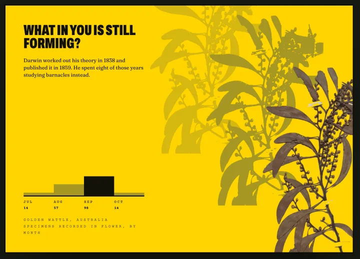 The postcard: What in you is still forming?, with the flowering-month chart beneath it