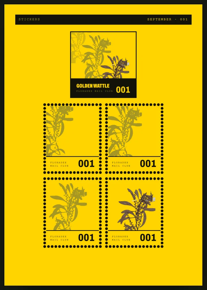 The stickers: one large sticker and four perforated stamps, all numbered 001